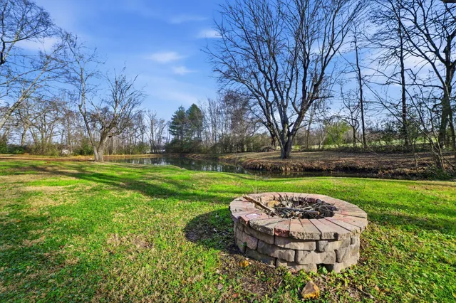 a view of a backyard with large trees