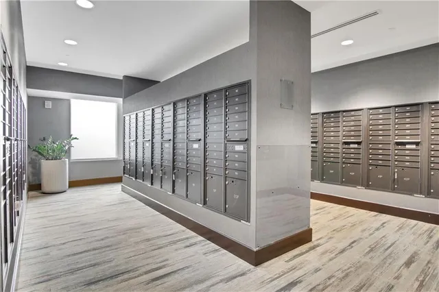 a view of a room with wooden floor and potted plant
