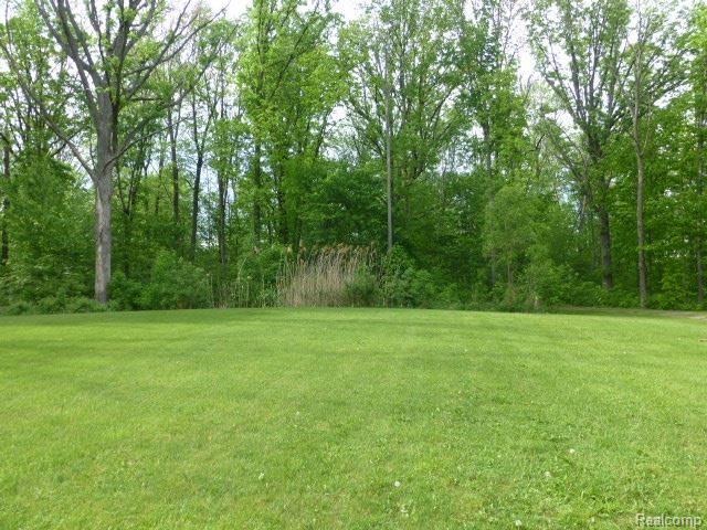 8204 Petz Road Imlay City, MI 48444 - Photo 8 of 60 P1020042.jpg