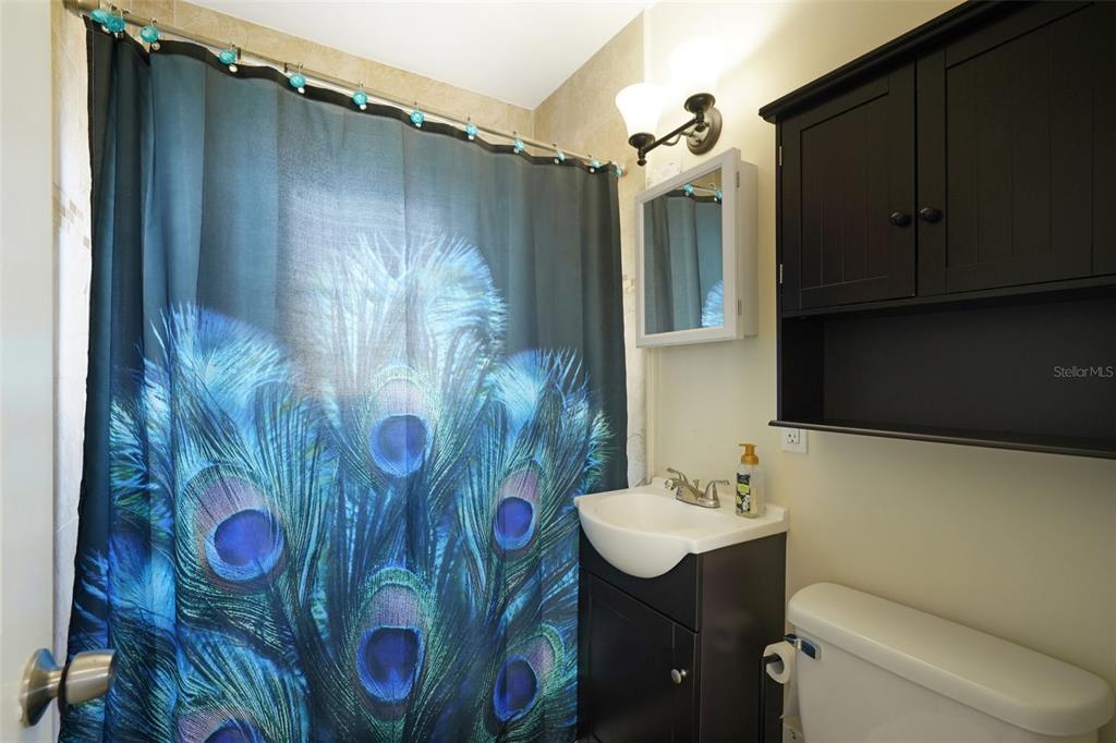 4809 33rd Avenue North St. Petersburg, FL 33713 - Photo 24 of 62 a bathroom with a sink and mirror