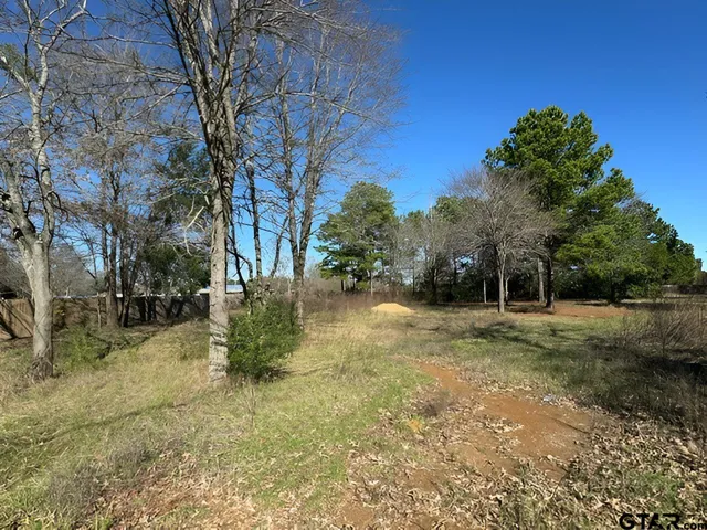 $55,000 | Lot 7 Berrycreek Circle, Frankston, TX 75763