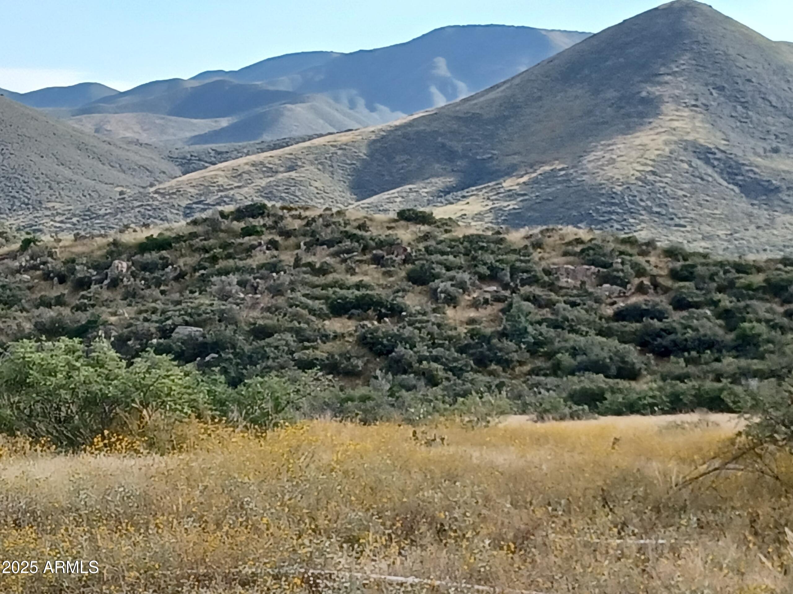 5668 Miners Pick Road Mayer, AZ 86333 - Photo 24 of 39 OMKA4539