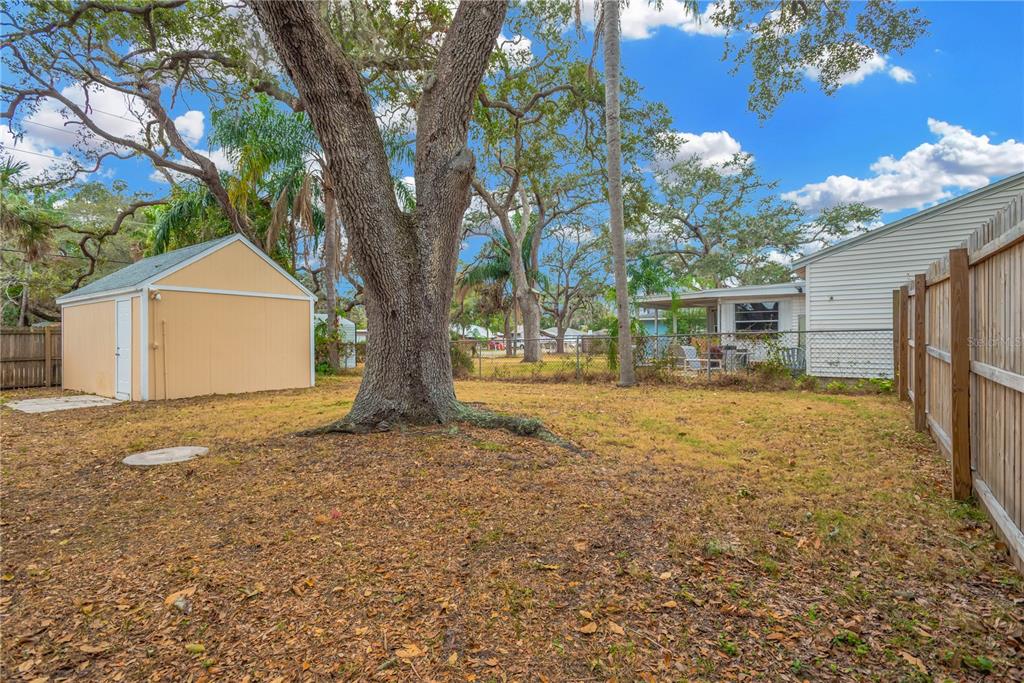 559 Norfolk Street Dunedin, FL 34698 - Photo 25 of 26