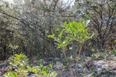 a street view with flowers