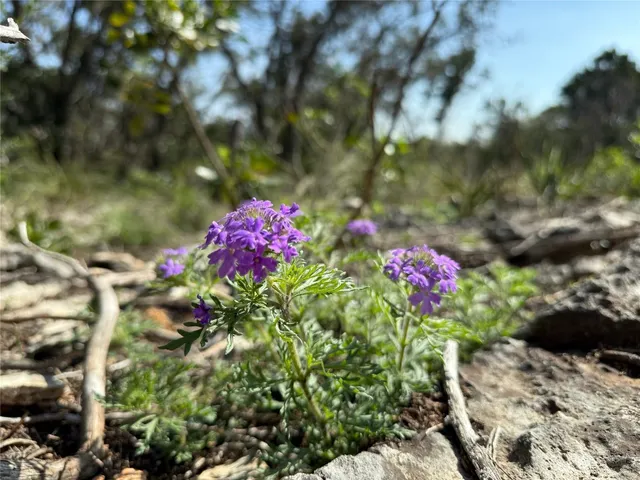 $159,000 | 3470 Summit Drive, New Braunfels, TX 78132