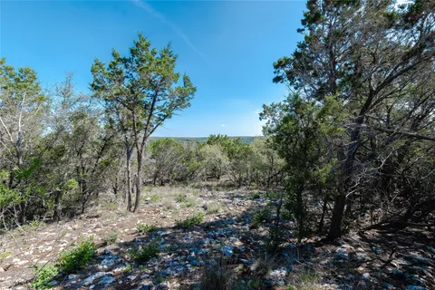 a view of a forest filled with trees