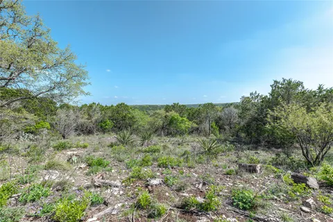 a view of a lush green forest with lots of trees