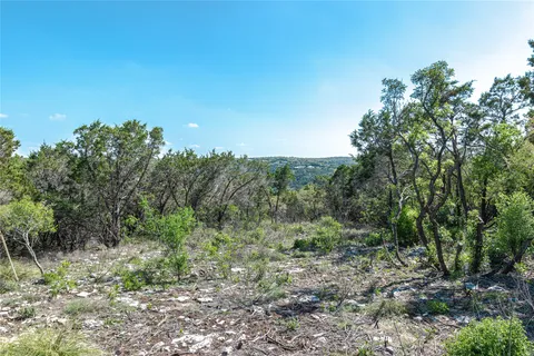 a view of a forest with trees in the background