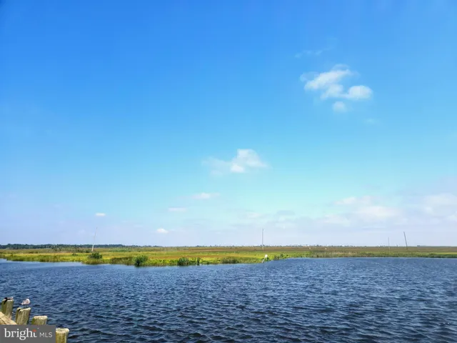 a view of an ocean and beach
