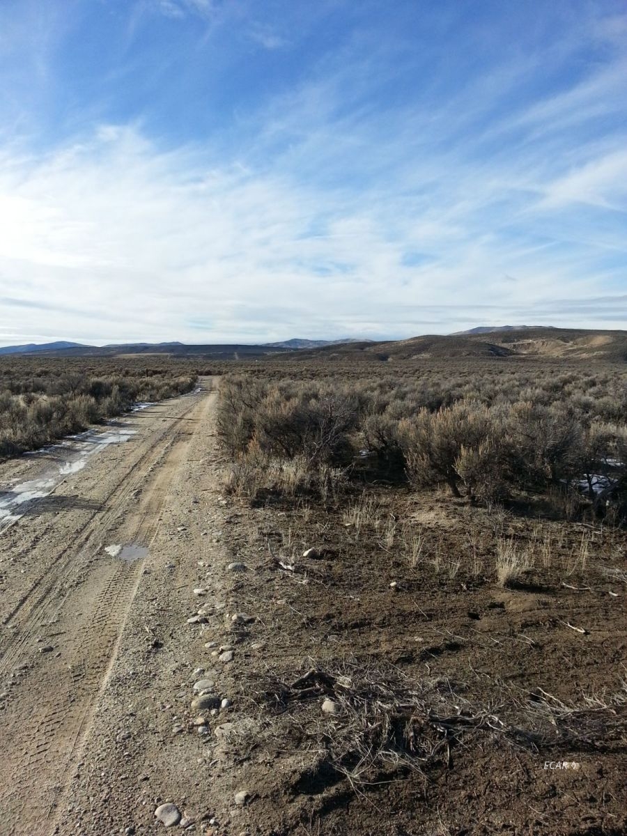21-06 Pershing Avenue Spring Creek, NV 89815 - Photo 4 of 5