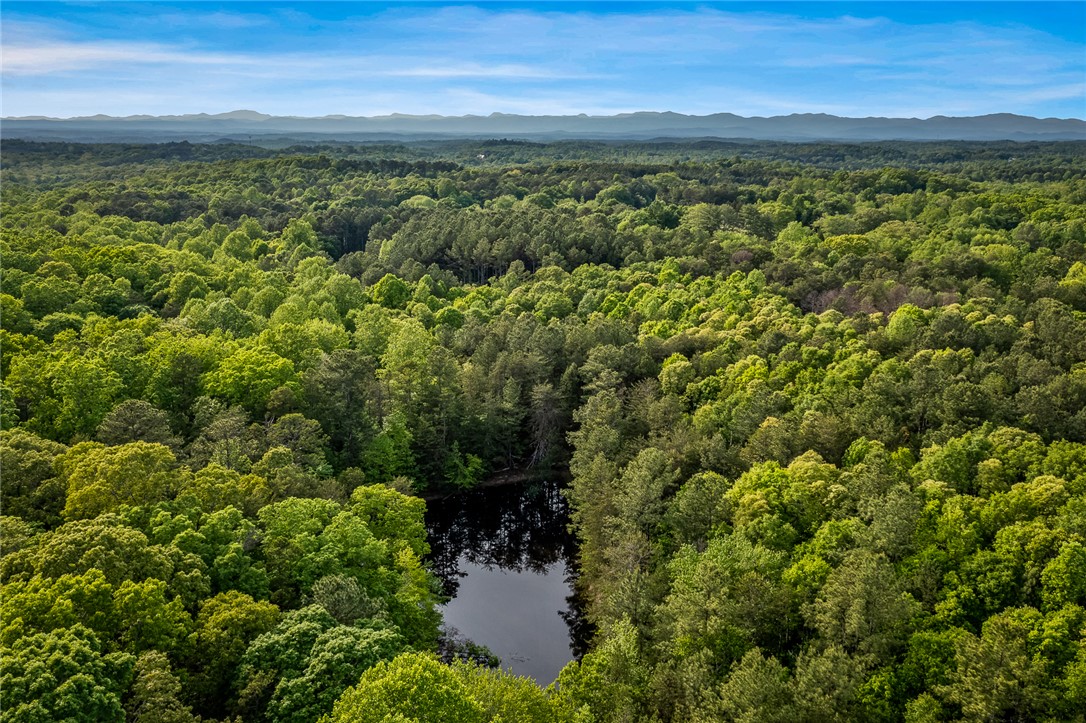 0 Bluebird Lane, Unit TRACT A/1 Central, SC 29630 - Photo 11 of 12
