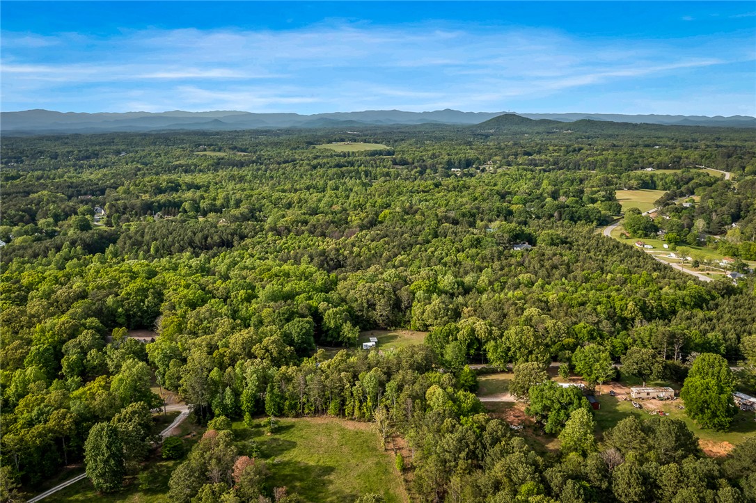 0 Bluebird Lane, Unit TRACT A/1 Central, SC 29630 - Photo 5 of 12