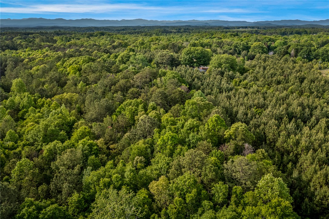 0 Bluebird Lane, Unit TRACT A/1 Central, SC 29630 - Photo 9 of 12