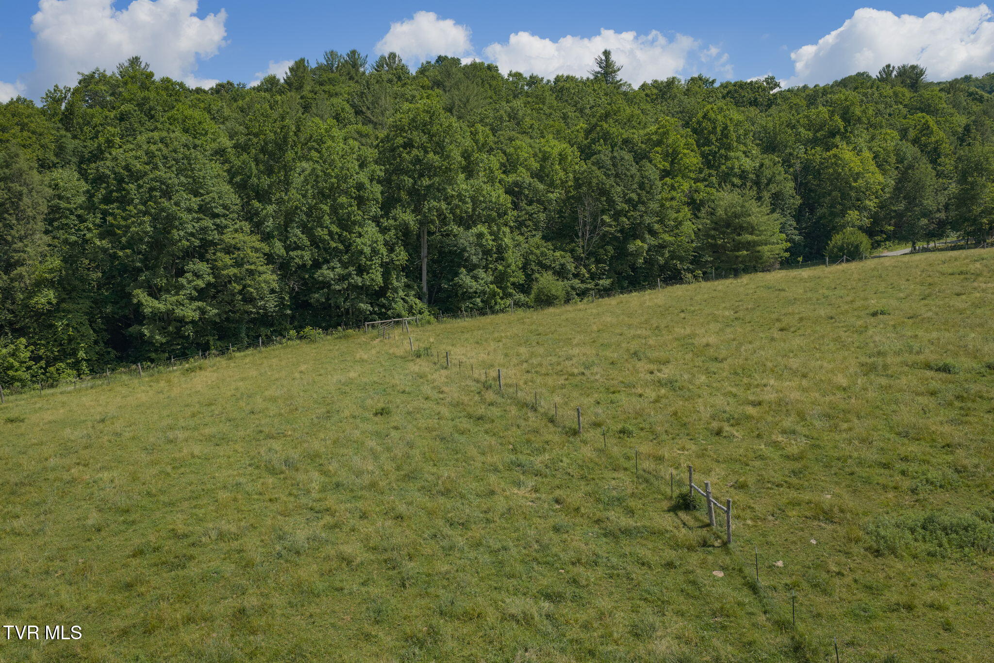 120 Teaberry Road Roan Mountain, TN 37687 - Photo 9 of 56 8-web-or-mls-DJI_20260612111635_0237_D