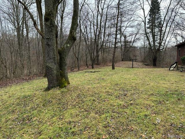 2.76 Perry Lake Road Ortonville, MI 48462 - Photo 5 of 8