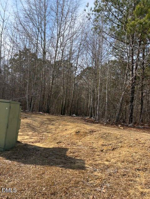 206 Hope Street Erwin, NC 28339 - Photo 9 of 10
