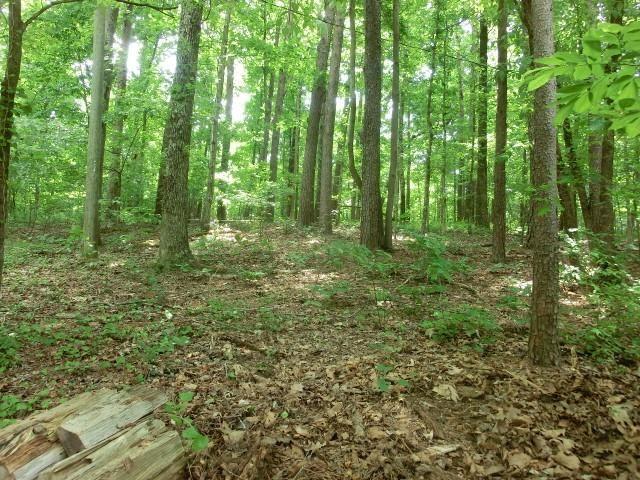 0 Timberlane Road Cumming, GA 30040 - Photo 6 of 7