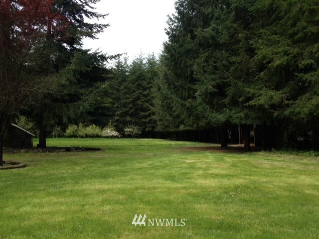 19209 Denmark Street Southwest Rochester, WA 98579 - Photo 17 of 17