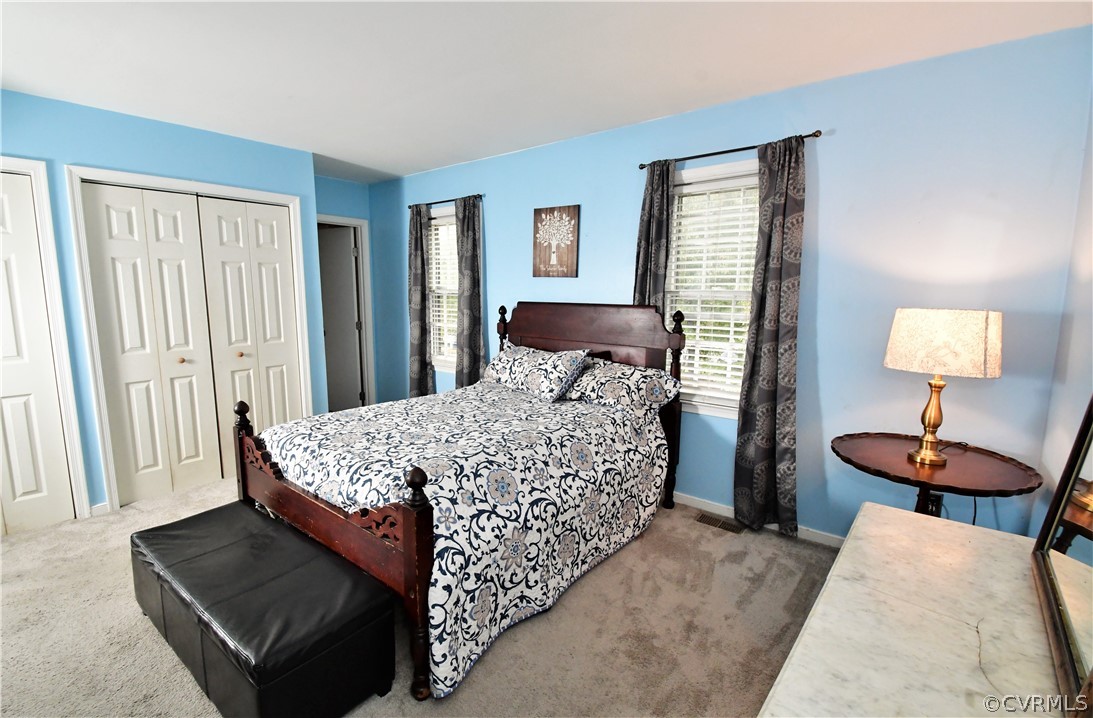 4823 Alberta Road Chesterfield, VA 23832 - Photo 17 of 29 Primary Bedroom, carpet, 2 closets and a full bath