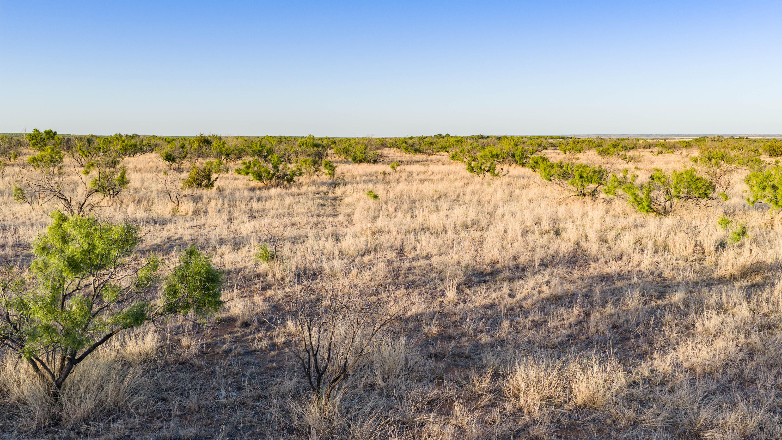 239 County Road Afton, TX 79220 - Photo 7 of 18 afton-14