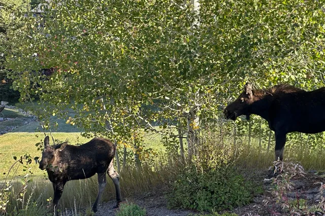 a view of city from balcony