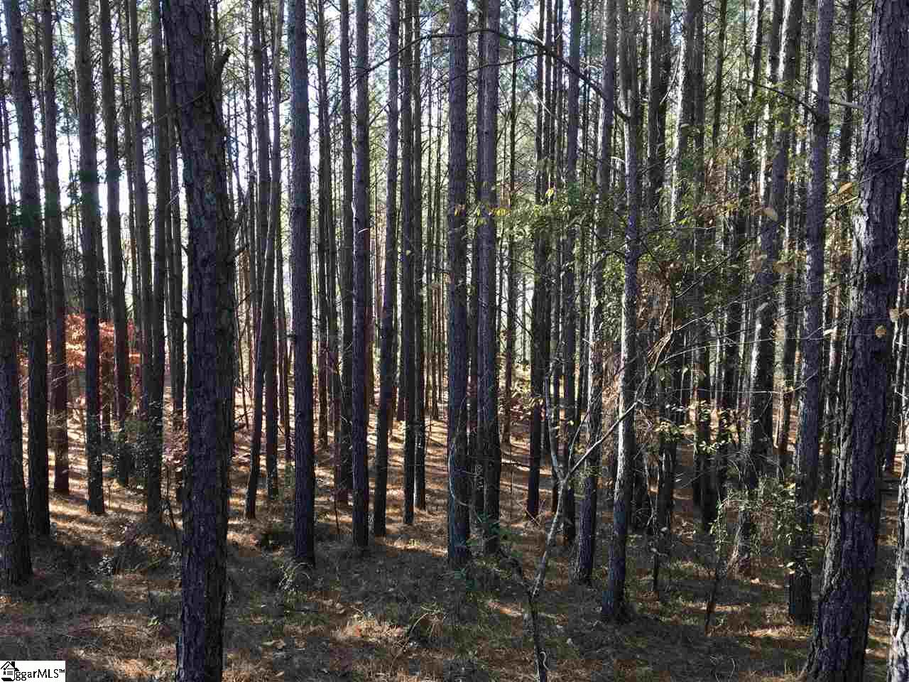 Lot 127 Catawba Road, Unit LOT #127 Gaffney, SC 29341 - Photo 3 of 11 Gallery Image 3