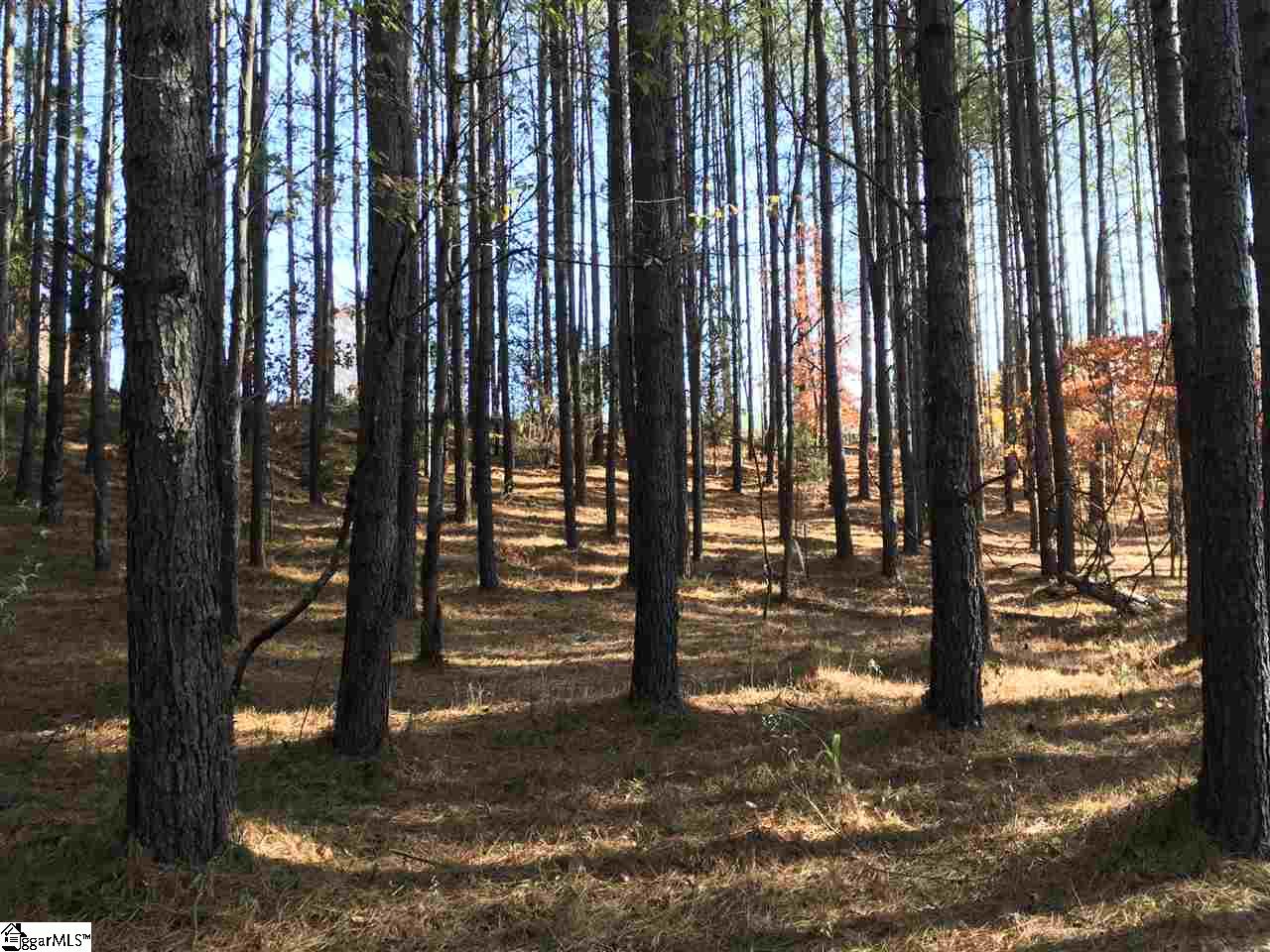Lot 127 Catawba Road, Unit LOT #127 Gaffney, SC 29341 - Photo 4 of 11 Gallery Image 4
