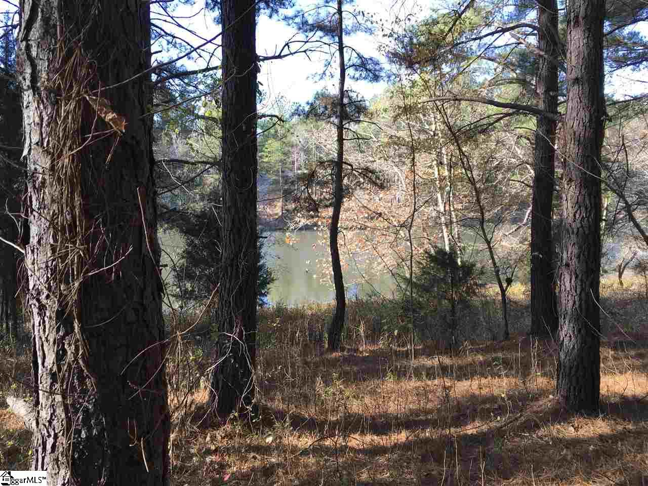 Lot 127 Catawba Road, Unit LOT #127 Gaffney, SC 29341 - Photo 5 of 11 Gallery Image 5