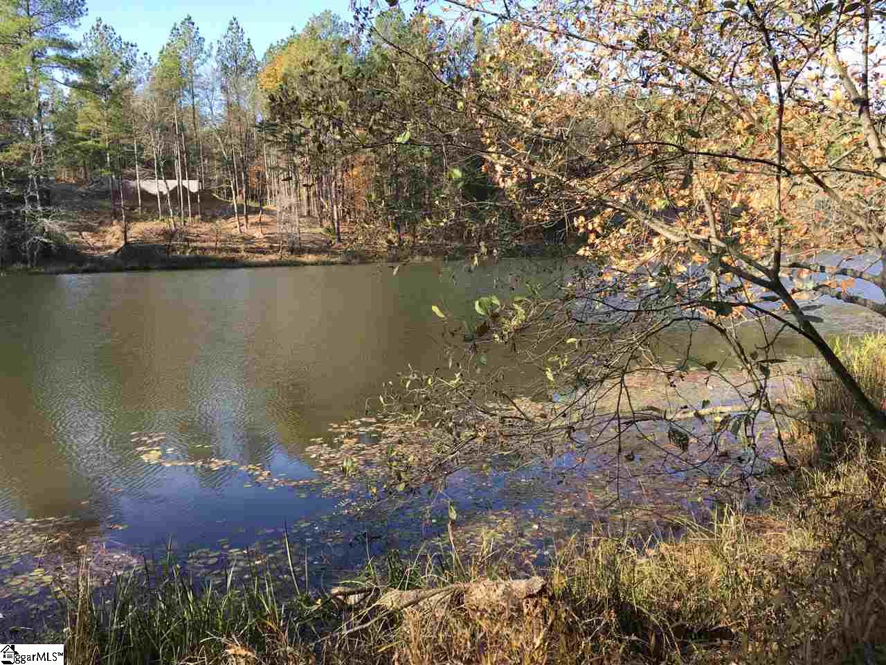 Lot 127 Catawba Road, Unit LOT #127 Gaffney, SC 29341 - Photo 7 of 11 Gallery Image 7