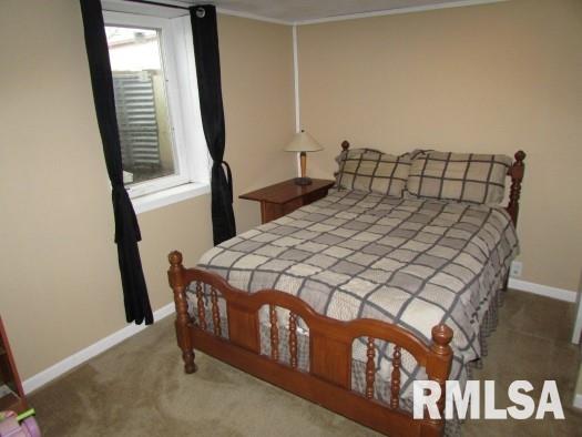 2243 North Lowpoint Road Washburn, IL 61570 - Photo 23 of 36 Gallery Image 23