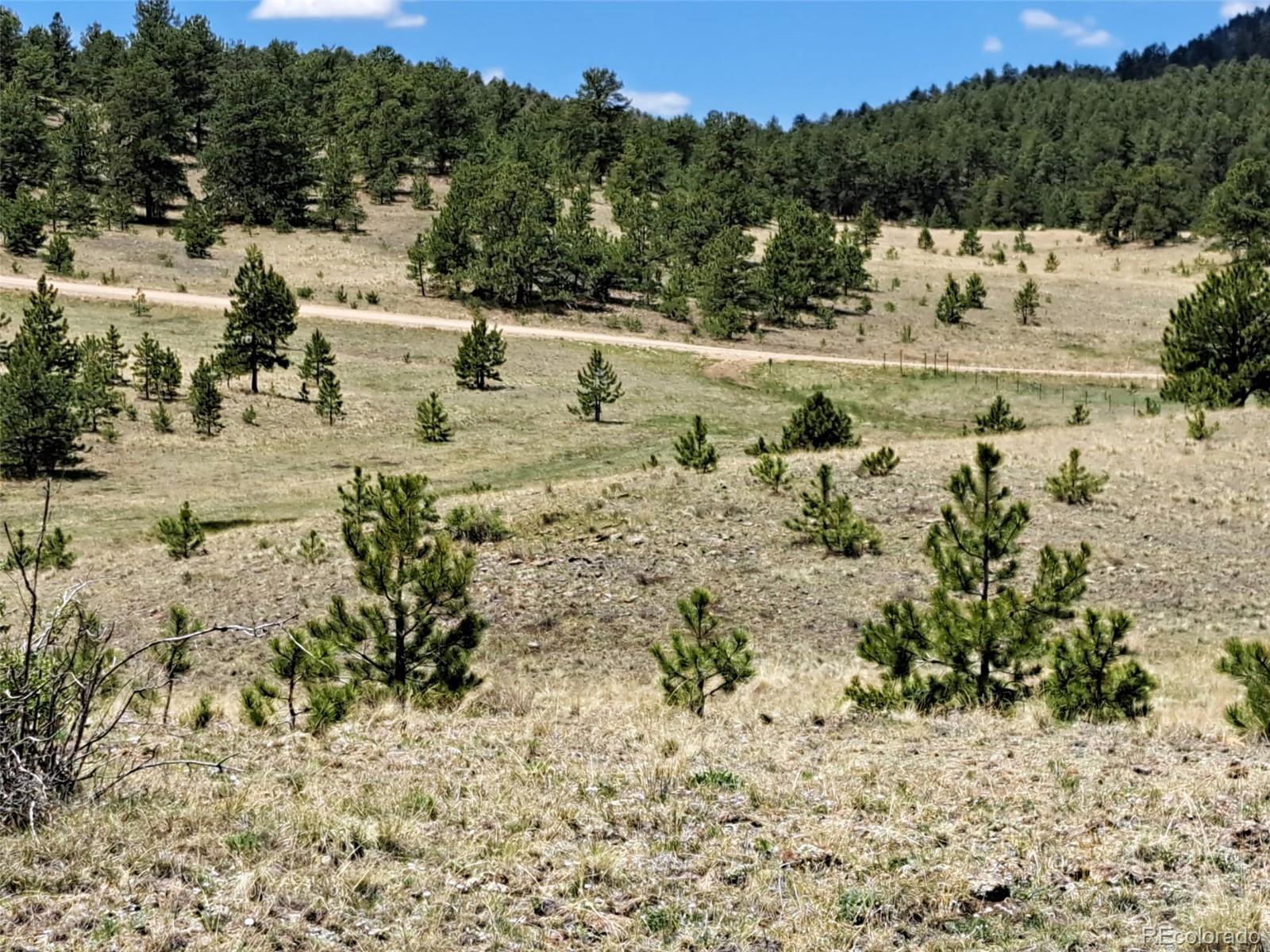 744 Julia Road Guffey, CO 80820 - Photo 1 of 37 a view of a yard with a tree