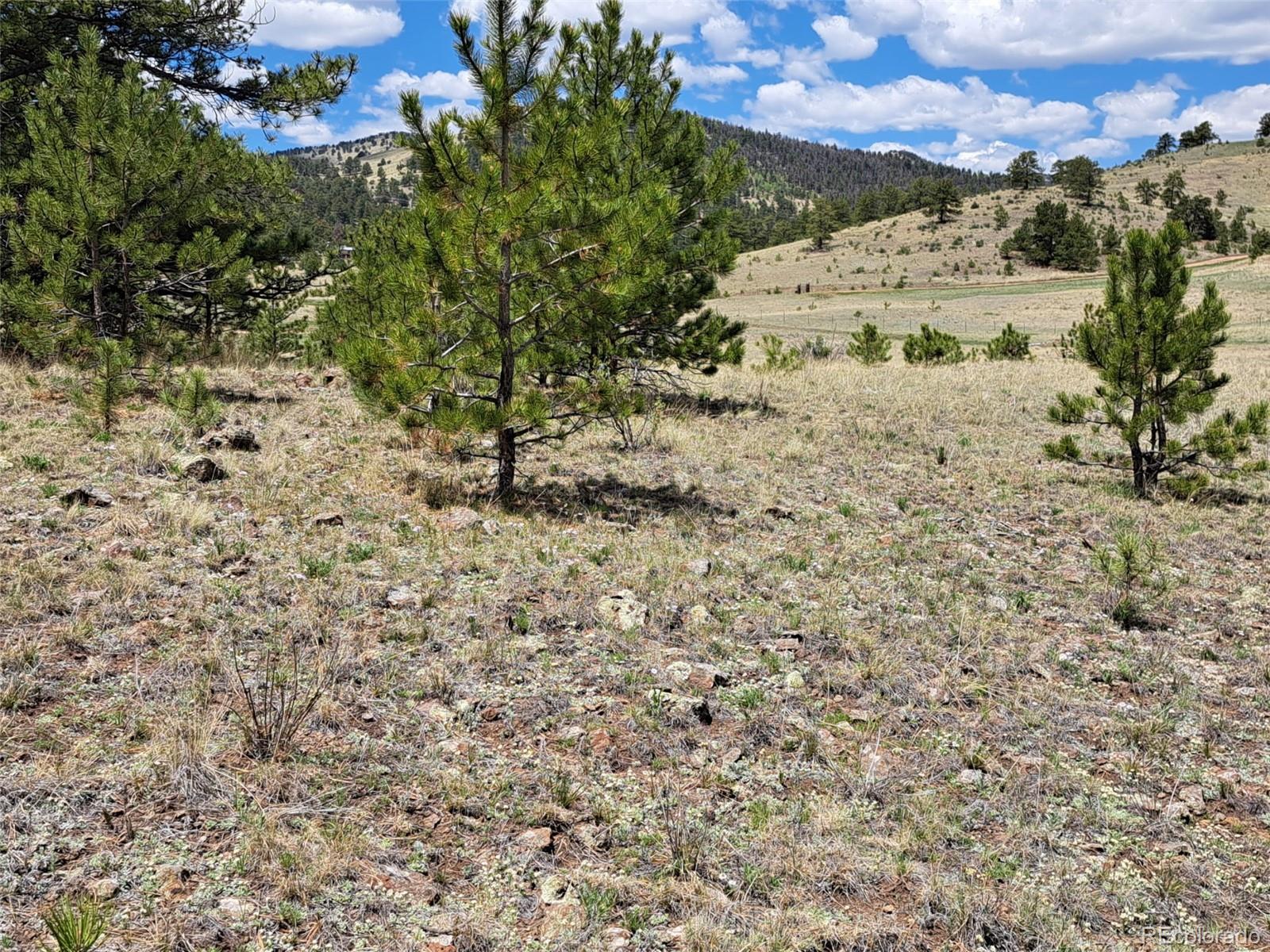744 Julia Road Guffey, CO 80820 - Photo 12 of 37