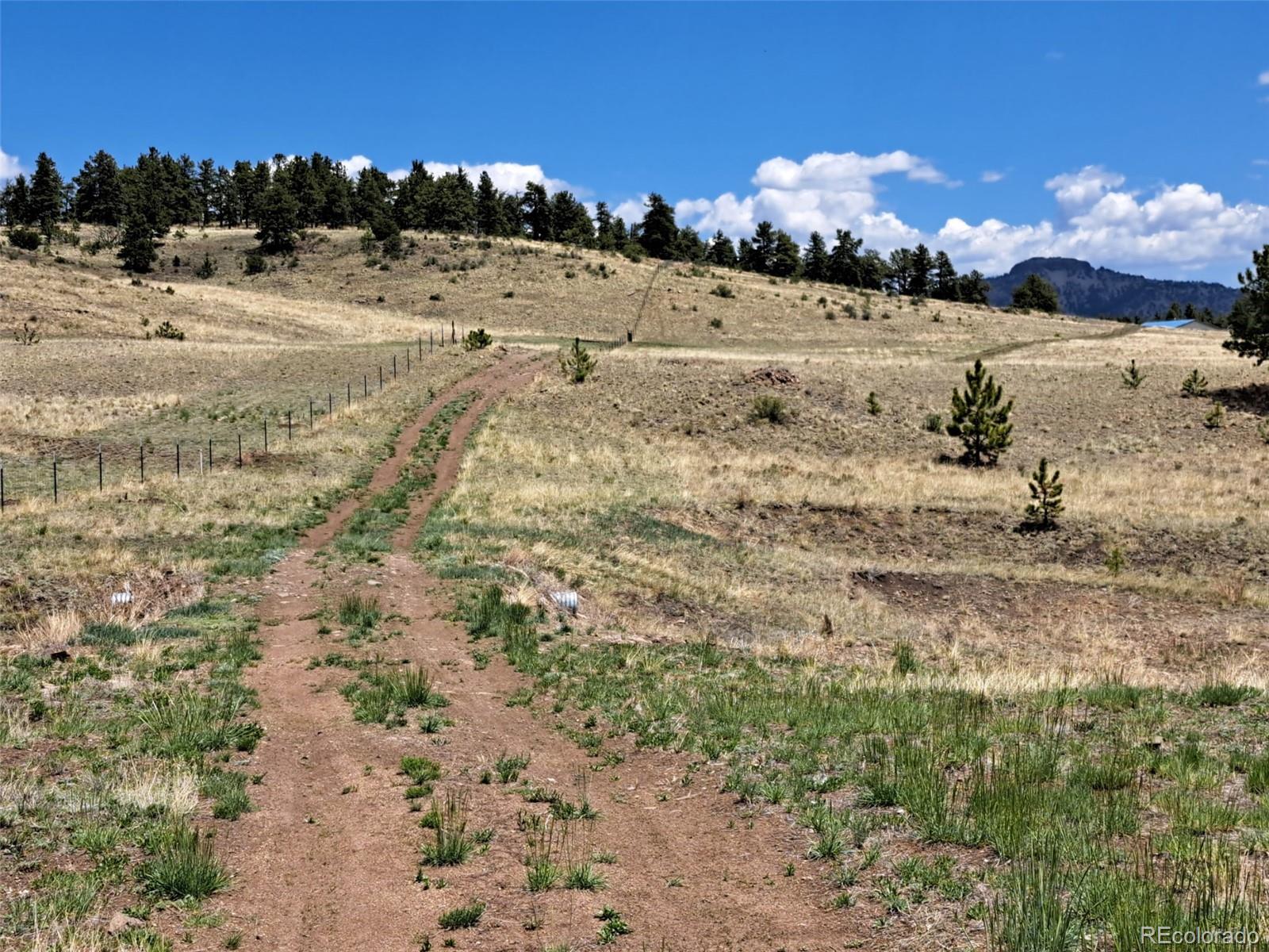 744 Julia Road Guffey, CO 80820 - Photo 15 of 37 a view of a yard with a snow