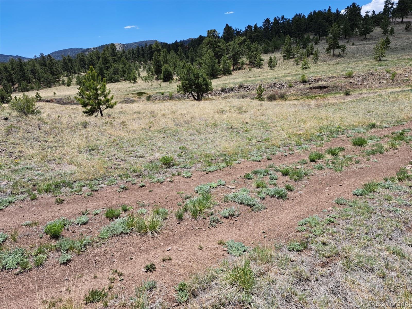 744 Julia Road Guffey, CO 80820 - Photo 16 of 37 a view of a dirt yard with a mountain