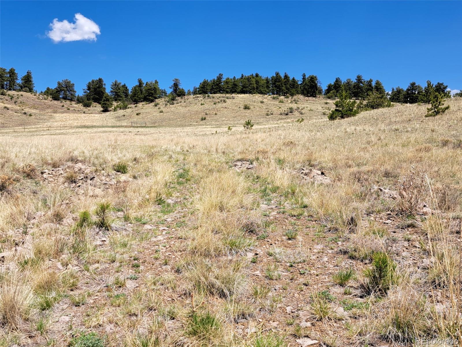 744 Julia Road Guffey, CO 80820 - Photo 17 of 37