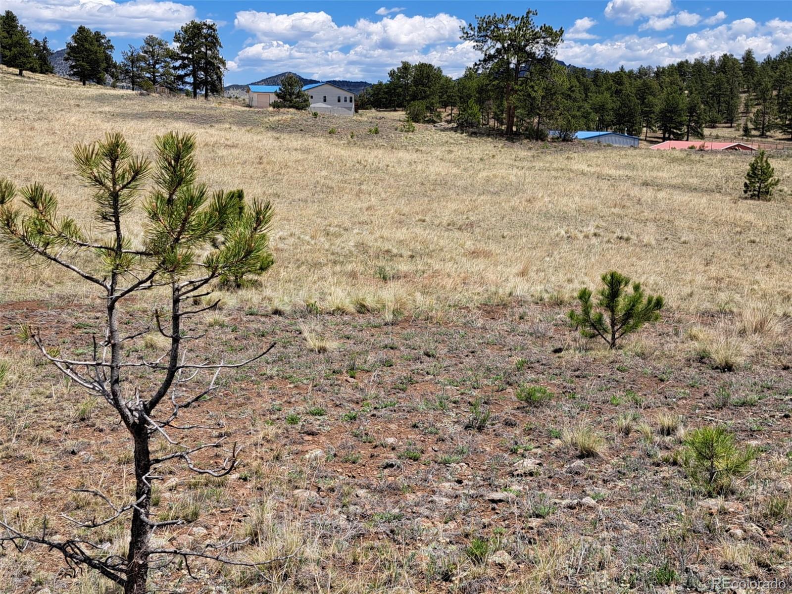 744 Julia Road Guffey, CO 80820 - Photo 19 of 37 a view of a lake with a mountain