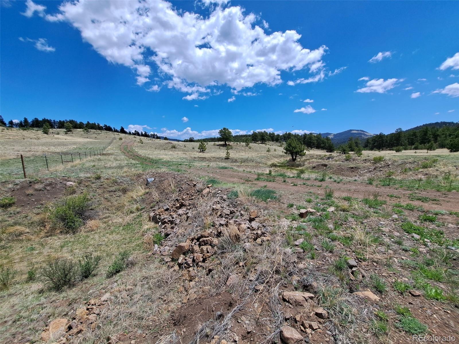 744 Julia Road Guffey, CO 80820 - Photo 2 of 37 a view of a field with large trees