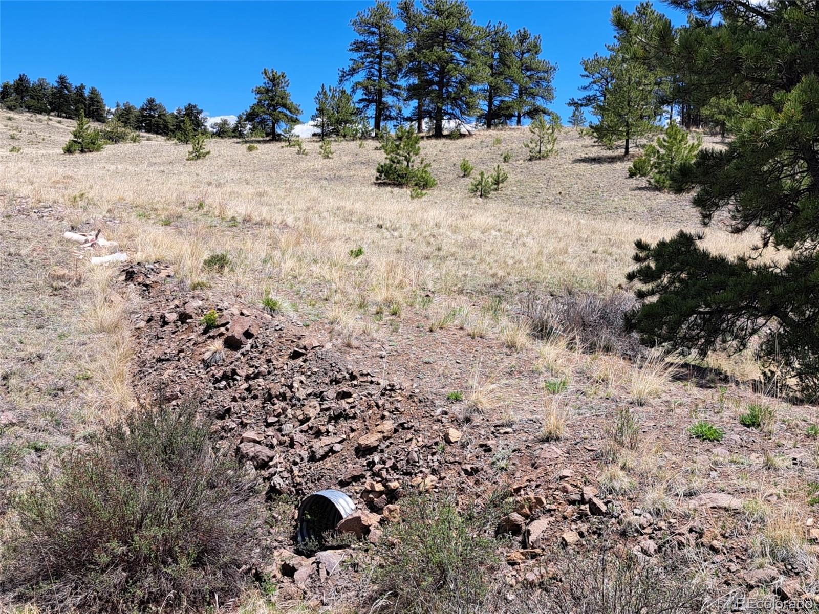 744 Julia Road Guffey, CO 80820 - Photo 29 of 37 a view of a yard with a tree