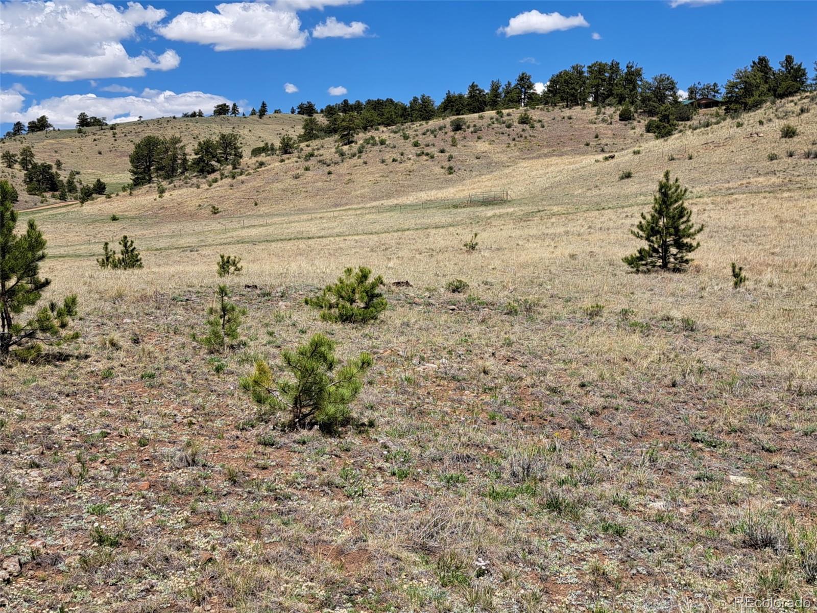744 Julia Road Guffey, CO 80820 - Photo 31 of 37 a view of beach and ocean