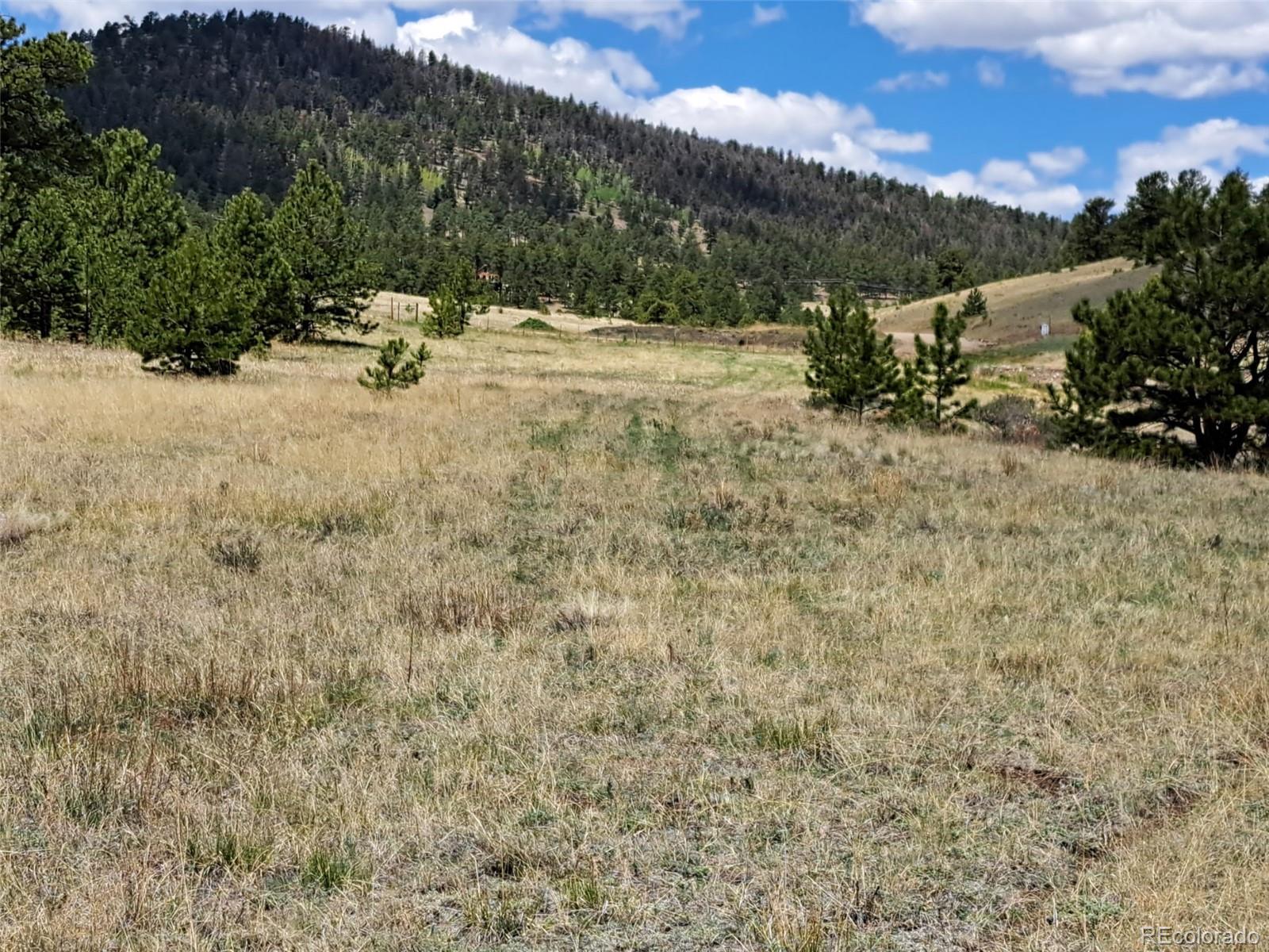 744 Julia Road Guffey, CO 80820 - Photo 35 of 37 a view of a dry yard with wooden fence