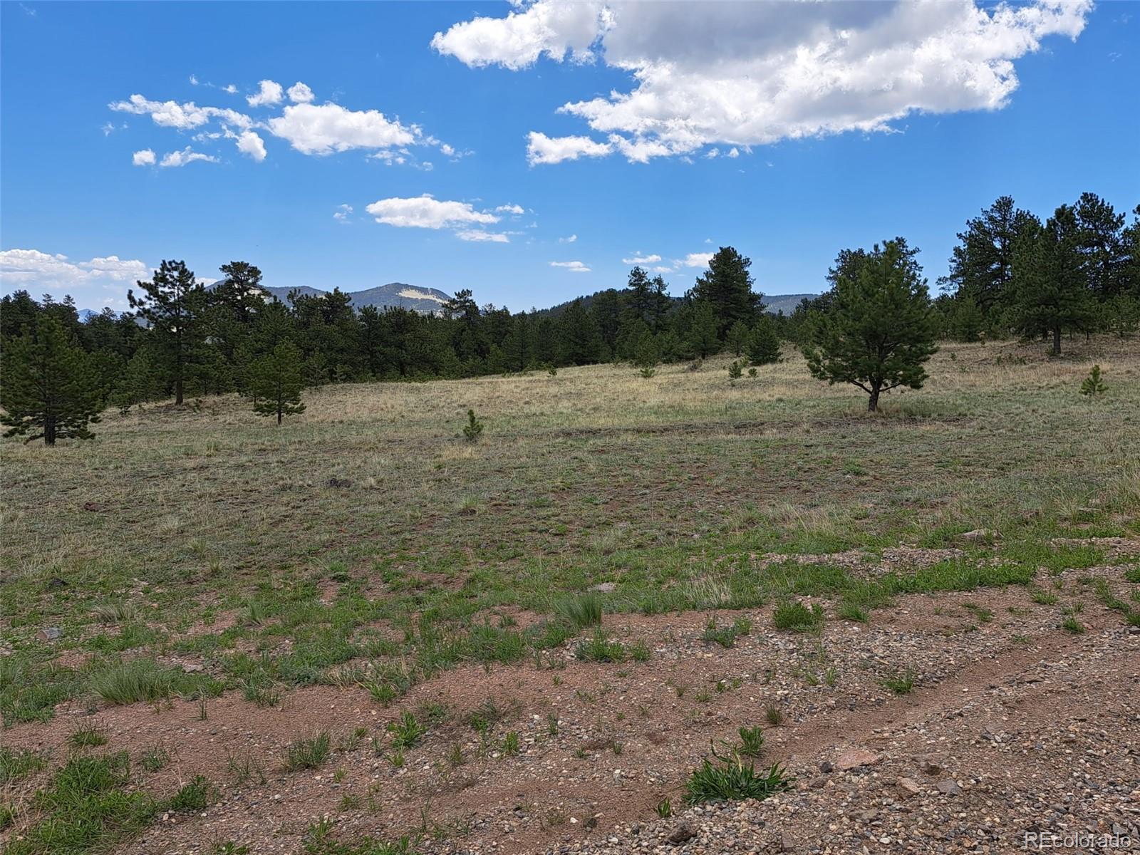 744 Julia Road Guffey, CO 80820 - Photo 5 of 37 a view of a lake with mountain view