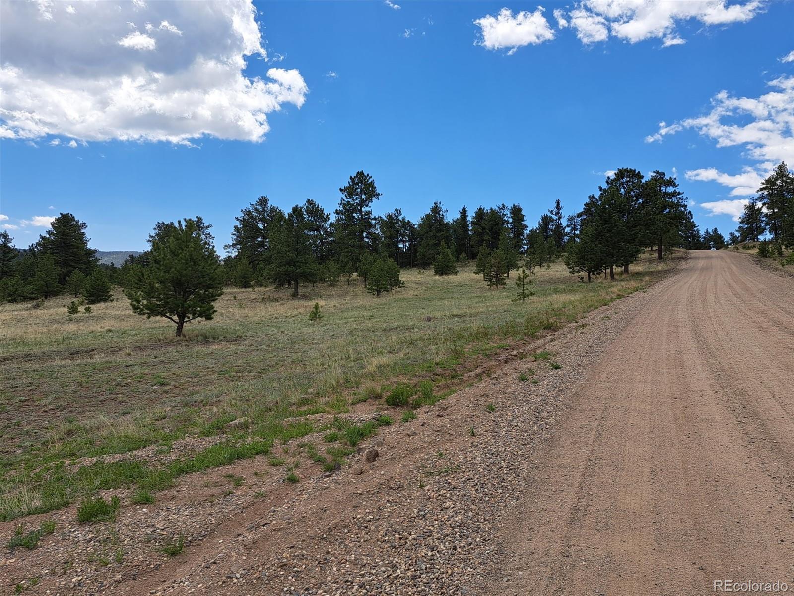 744 Julia Road Guffey, CO 80820 - Photo 7 of 37 a view of a dry yard with wooden fence