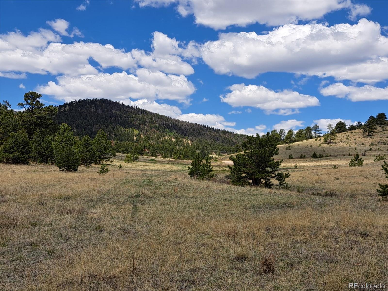 744 Julia Road Guffey, CO 80820 - Photo 8 of 37