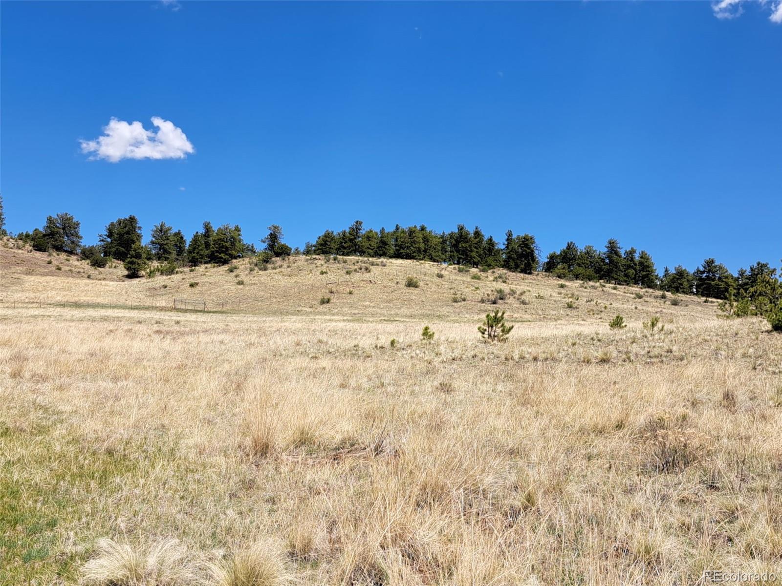 744 Julia Road Guffey, CO 80820 - Photo 9 of 37 a view of ocean view