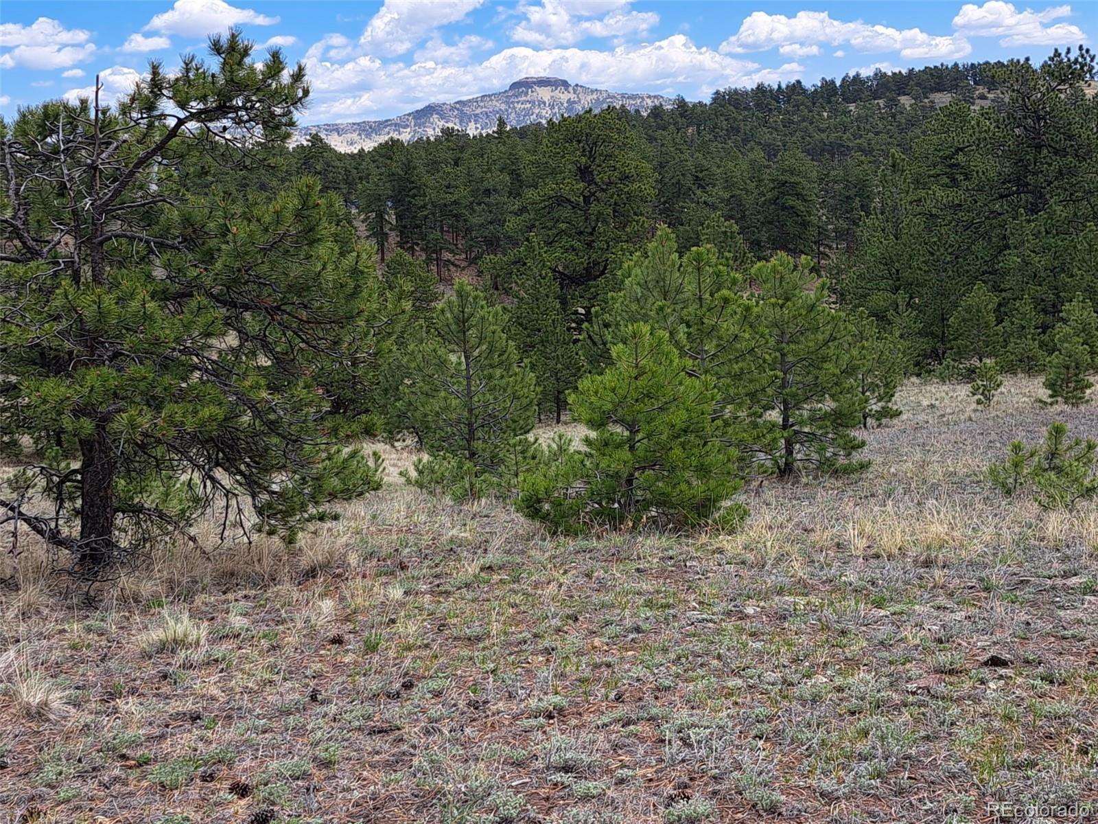 744 Julia Road Guffey, CO 80820 - Photo 10 of 37 a view of a valley with a mountain in the background