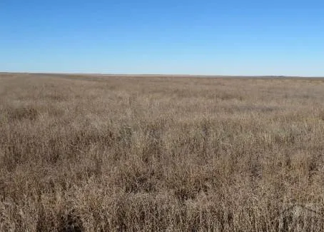 $260,000 | S17 County Road, Holly, CO 81047