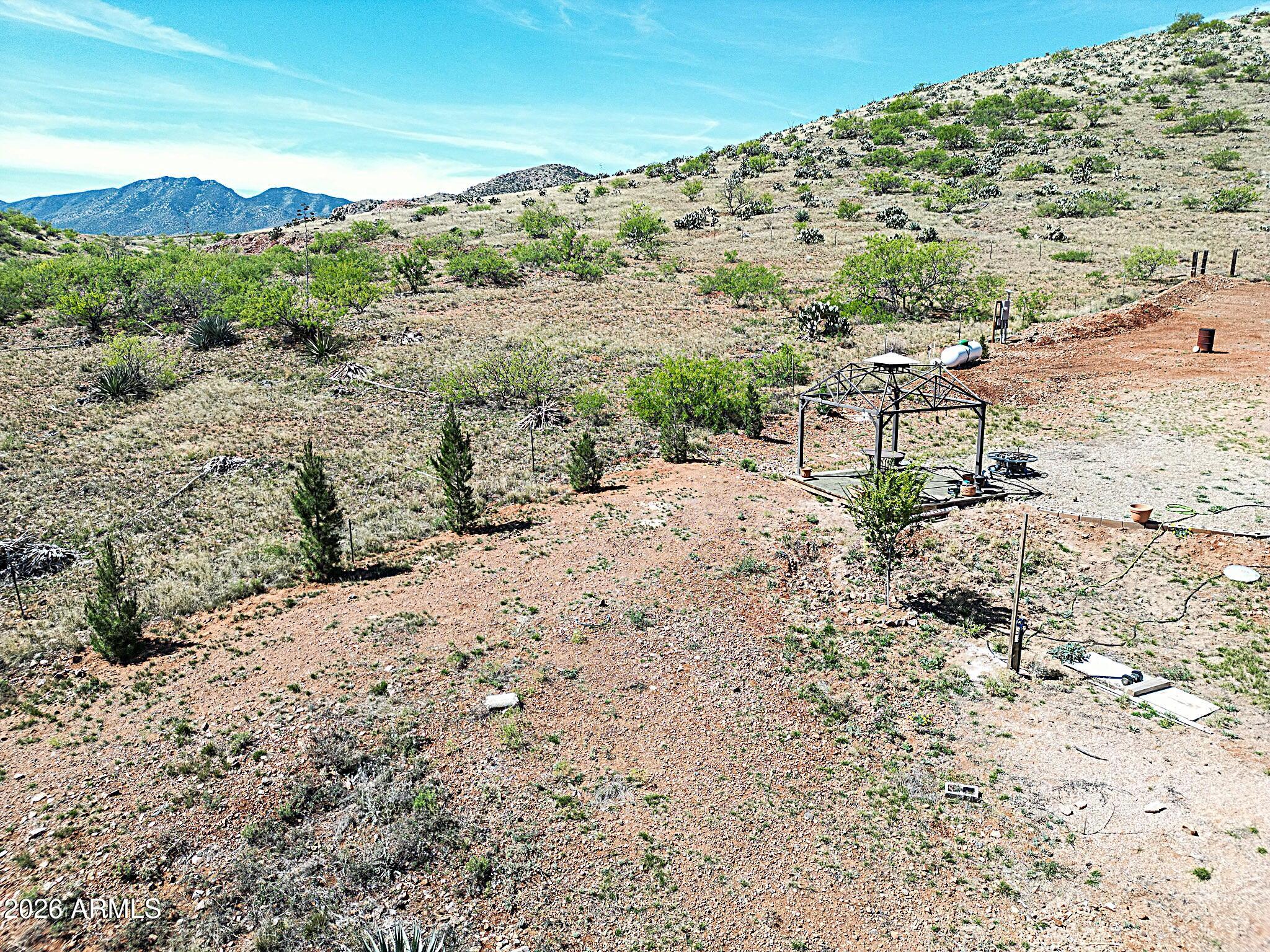 286 South Palm Road Pearce, AZ 85625 - Photo 33 of 38 palm ground