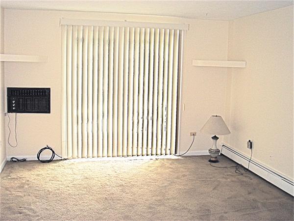74 Springvale Avenue, Unit 12 Chelsea, MA 02150 - Photo 7 of 9 Gallery Image 7