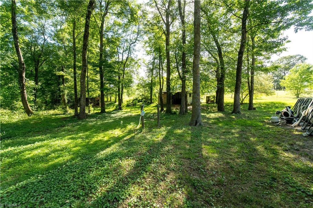 5925 Bob's Lake Road Hamptonville, NC 27020 - Photo 5 of 31
