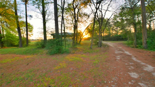 a view of backyard with green space